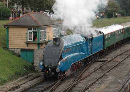 Purchase photo of 4492 DOMINION OF NEW ZEALAND (BITTERN) at Swanage Railway